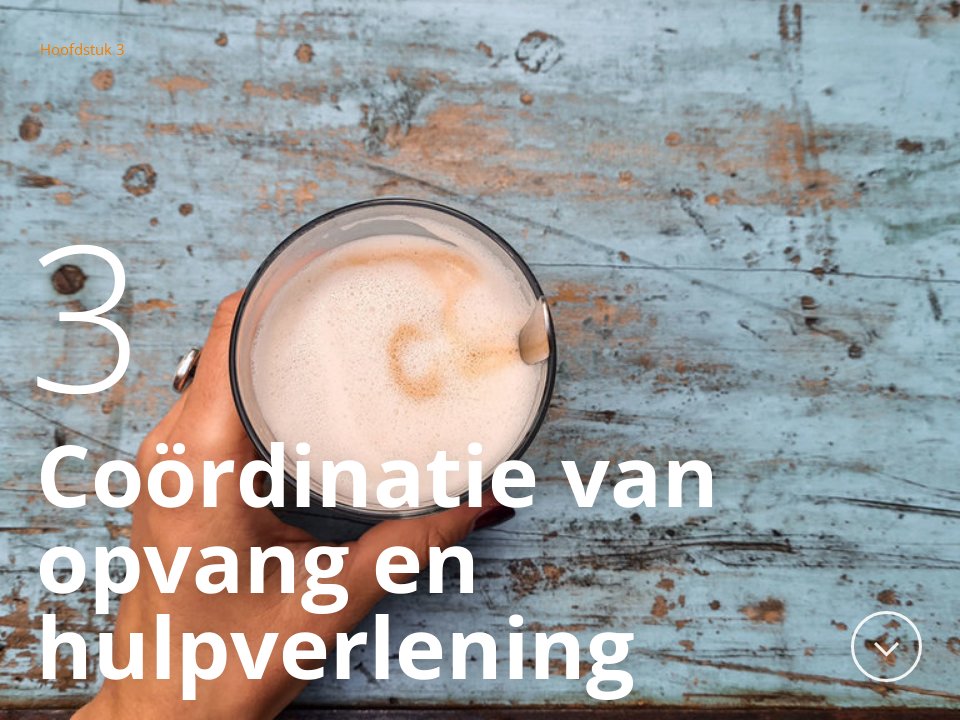 Coördinatie van opvang en hulpverlening - Het beeld van 2021
