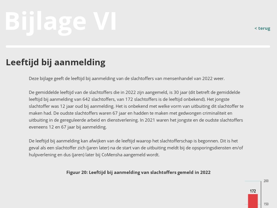 Bijlagen - Het Beeld Van 2022